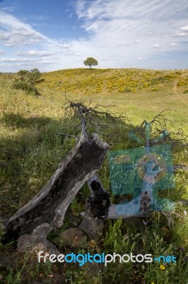 Rural Countryside Stock Photo