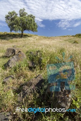 Rural Countryside Stock Photo