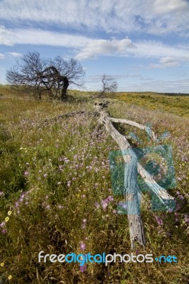 Rural Countryside Stock Photo