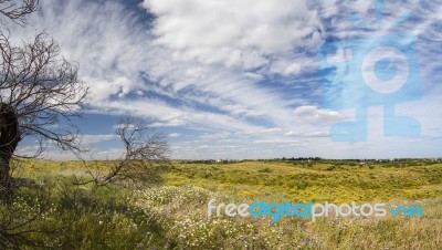 Rural Countryside Stock Photo