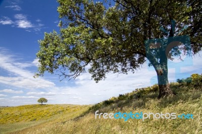 Rural Countryside Stock Photo