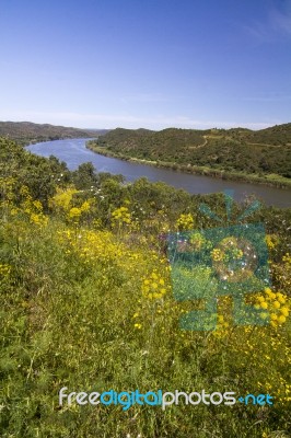 Rural Countryside Algarve View Stock Photo