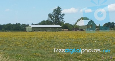 Rural Farm Stock Photo