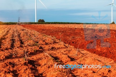 Rural Field With The Blue Sky Stock Photo