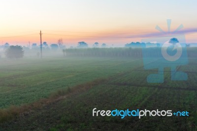 Rural Fields In Edfu, Egypt Stock Photo