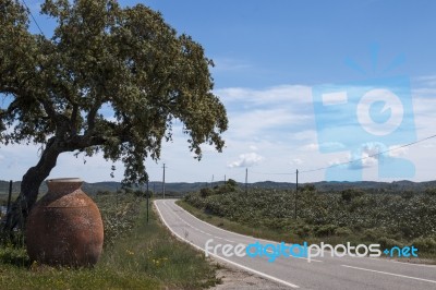 Rural Landscape In Alentejo Stock Photo