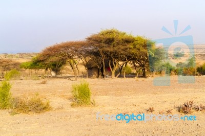 Rural Landscape In Ethiopia Stock Photo