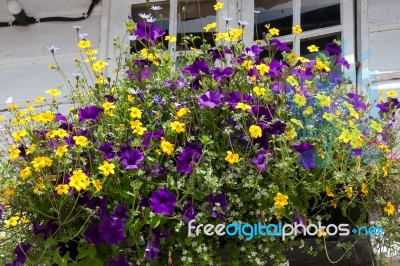 Rusper, Sussex/uk - June 26 : Close-up Of A Window Box Outside A… Stock Photo