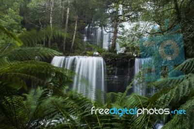 Russel Falls In Mount Field National Park Stock Photo