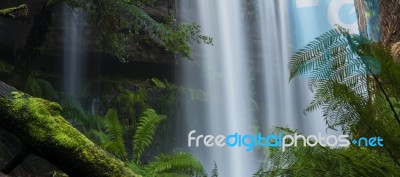 Russel Falls In Mount Field National Park Stock Photo