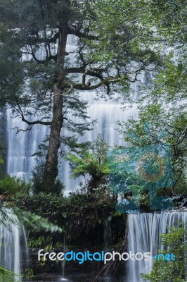 Russel Falls In Mount Field National Park Stock Photo