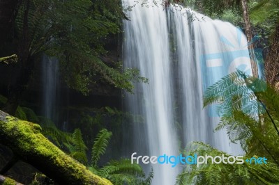 Russel Falls In Mount Field National Park Stock Photo