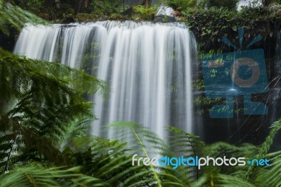 Russel Falls In Mount Field National Park Stock Photo