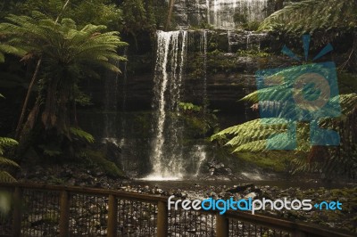 Russell Falls In Mount Field National Park Stock Photo