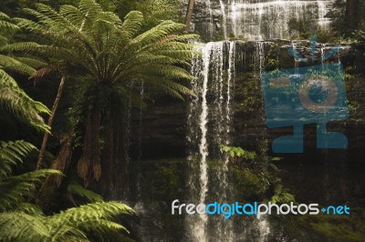 Russell Falls In Mount Field National Park Stock Photo