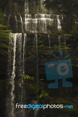 Russell Falls In Mount Field National Park Stock Photo