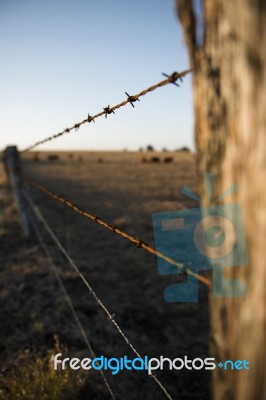 Rusted Sharp Timber And Metal Barb Wire Fence Stock Photo