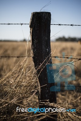 Rusted Sharp Timber And Metal Barb Wire Fence Stock Photo