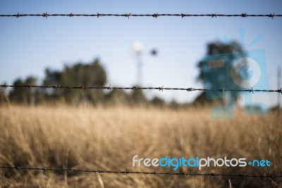 Rusted Sharp Timber And Metal Barb Wire Fence Stock Photo