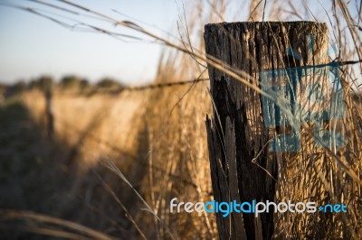 Rusted Sharp Timber And Metal Barb Wire Fence Stock Photo