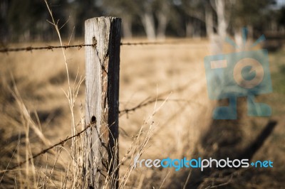 Rusted Sharp Timber And Metal Barb Wire Fence Stock Photo