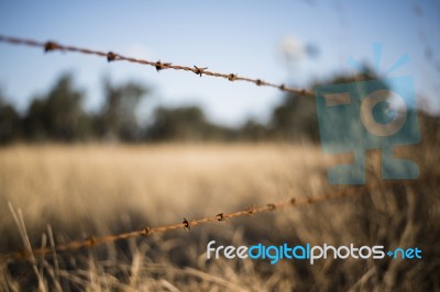 Rusted Sharp Timber And Metal Barb Wire Fence Stock Photo