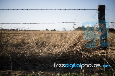 Rusted Sharp Timber And Metal Barb Wire Fence Stock Photo