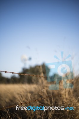 Rusted Sharp Timber And Metal Barb Wire Fence Stock Photo