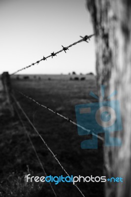 Rusted Sharp Timber And Metal Barb Wire Fence Stock Photo