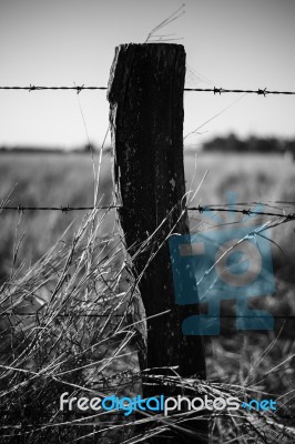 Rusted Sharp Timber And Metal Barb Wire Fence Stock Photo