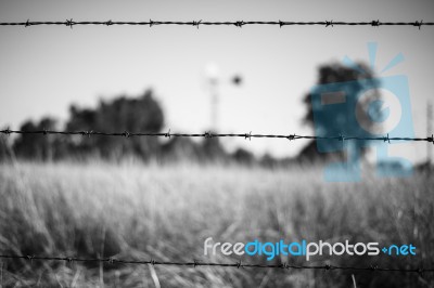 Rusted Sharp Timber And Metal Barb Wire Fence Stock Photo