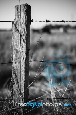 Rusted Sharp Timber And Metal Barb Wire Fence Stock Photo