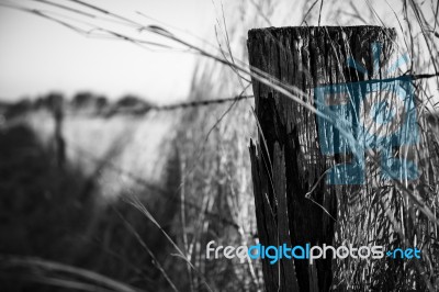 Rusted Sharp Timber And Metal Barb Wire Fence Stock Photo