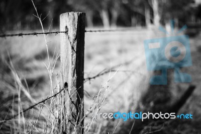 Rusted Sharp Timber And Metal Barb Wire Fence Stock Photo