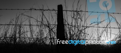 Rusted Sharp Timber And Metal Barb Wire Fence Stock Photo