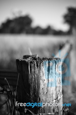 Rusted Sharp Timber And Metal Barb Wire Fence Stock Photo