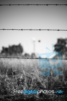 Rusted Sharp Timber And Metal Barb Wire Fence Stock Photo