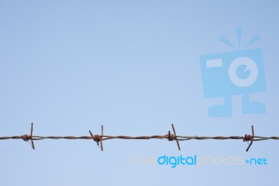 Rusty Barbed Wire Stock Photo