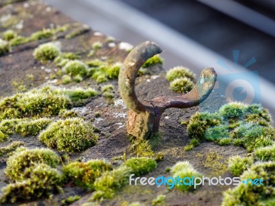 Rusty Ironwork And Moss On A Bridge In Royal Tunbridge Wells Stock Photo