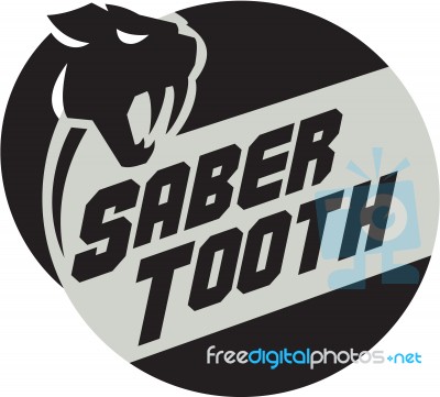 Saber Tooth Tiger Cat Head Circle Retro Stock Image