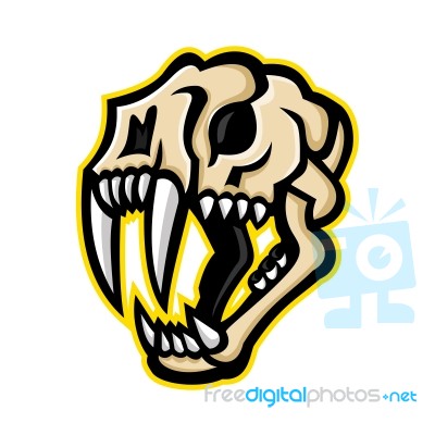 Saber-toothed Cat Skull Mascot Stock Image