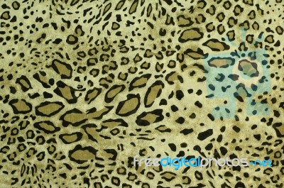 Safari Style Fabric Stock Photo