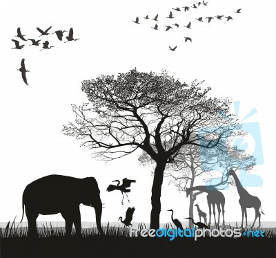 Safari With Giraffes, Herons, Geese And The Elephanti Stock Image