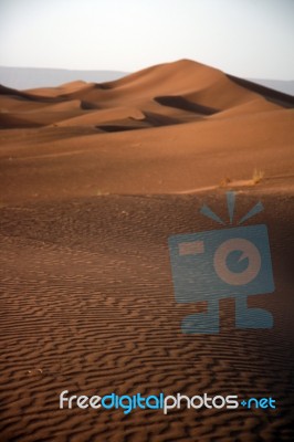 Sahara Desert Stock Photo