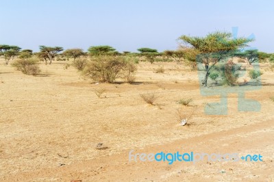 Sahara Desert Landscape Near Khartoum In Sudan Stock Photo