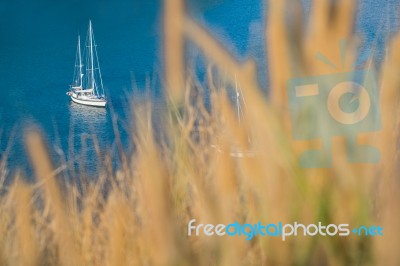 Sailboat Stock Photo