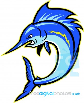 Sailfish Swordfish Jumping Cartoon Stock Image