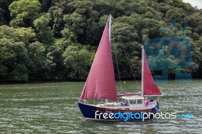 Sailing Up The River Dart Near Totnes Stock Photo