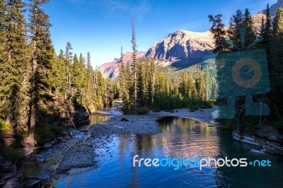 Saint Mary River Stock Photo