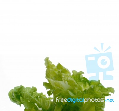 Salad Stock Photo